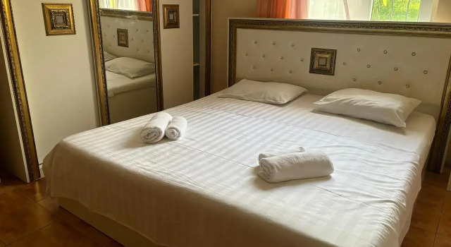 Двухместный номер Comfort с красивым видом из окна Мини-отель Лебедь