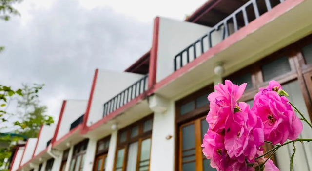 Курортный отель The Tea Tree Resort