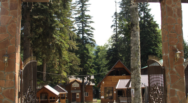 База отдыха Forest Yard