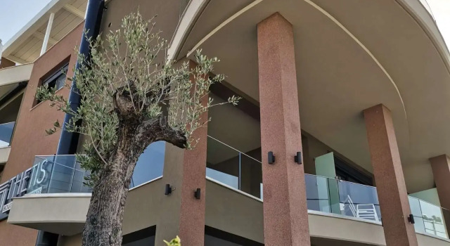 Thetis Boutique Apartments