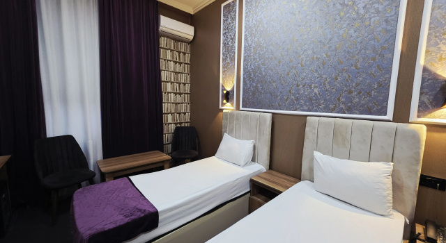 Standard Twin room Will Hotel