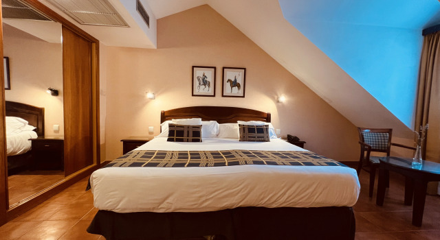 Двухместный номер Superior Hospedium Hotel Los Lanceros