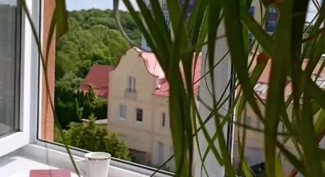 Sea Apartments Flat, Book Apartment Pionerskiy Kaliningrad Region