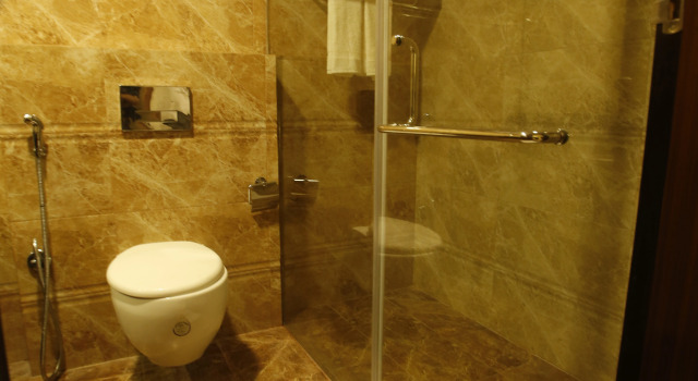 Двухместный номер Standard с красивым видом из окна Hotel Patliputra Continental