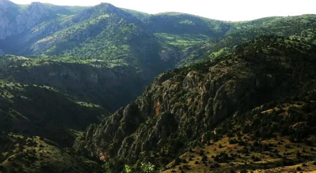 Eco Lodge in the Caucasus Wildlife Refuge Hotel, Book Hotel 5-stjernede hoteller i Urtsashen, 5*