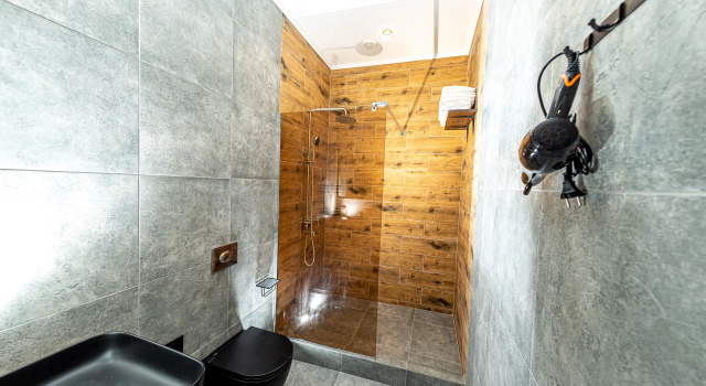 Четырёхместный полулюкс Отель Gerberg House