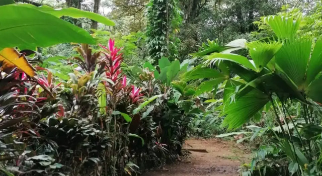 Тент с балконом Кемпинг Rio Agujitas Eco Farm and Tours