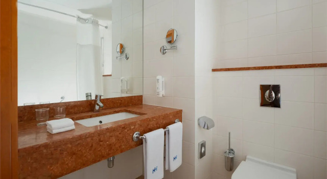 Двухместный номер Стандарт с видом на Волгу HolidayHall Samara Hotel