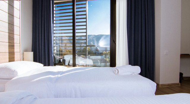 Отель Victoria Inn Tbilisi