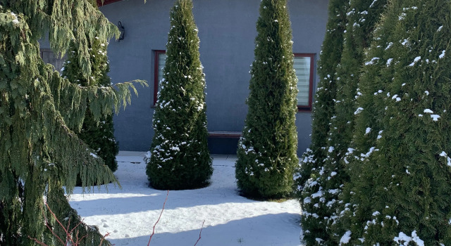 Guest House I Banya U Dmitriya, Book Guesthouse Brest Brest Region