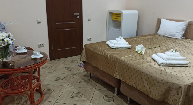 Двухместный номер Standard Отель Spa-Hotel Plaza