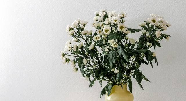 Апартаменты FlOWERS 4, Забронировать Апартаменты/квартира Апартаменты Санкт-Петербурга, рядом с Александринский театр, Апартаменты/квартира