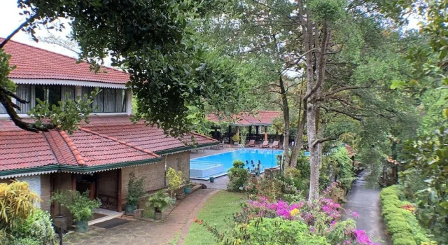 Курортный отель Tree of Life Nature Resort