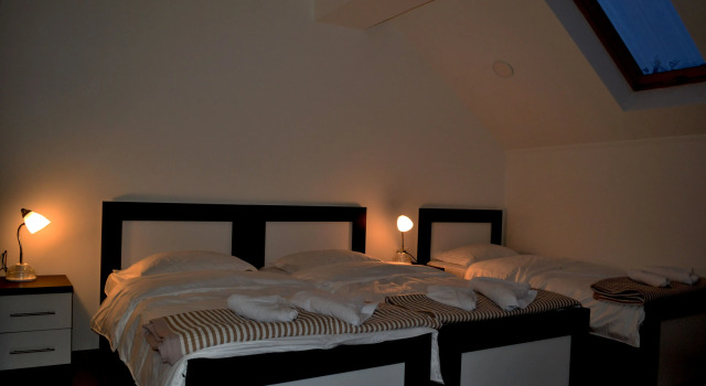 Junior suite Three Penguins
