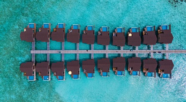 Курортный отель Dhigufaru Island
