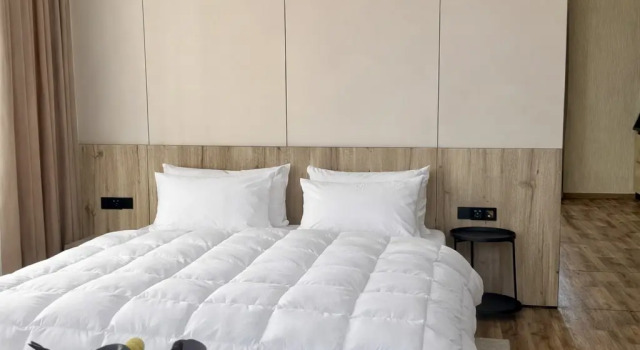 Двухместная студия Deluxe Гостевой дом Eva Apartments