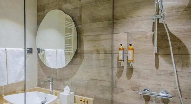 Двухместный номер Standard с видом на горы Отель Gudauri Lodge