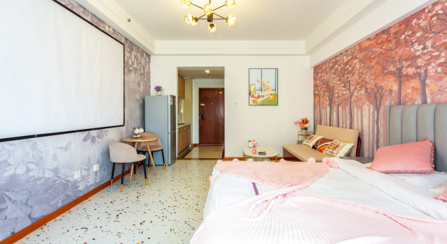 Двухместные апартаменты Luxury c 1 комнатой с красивым видом из окна Отель Hong Xiyuan Apartment Hotel Wada Plaza