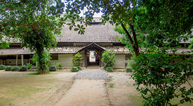 Кемпинг Tigertops Elephant Camp