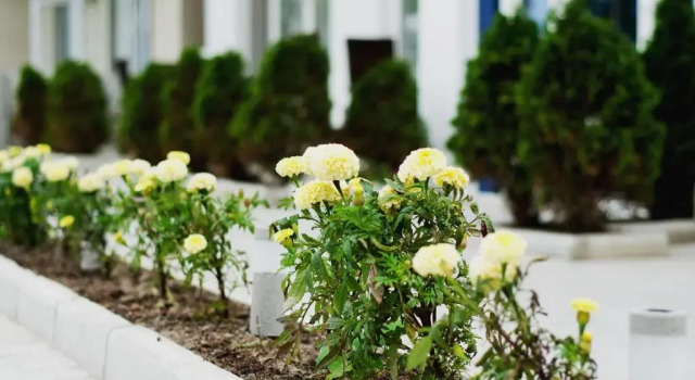 VIP Hotel, Prenota Hotel Kiev Regione di Kiev