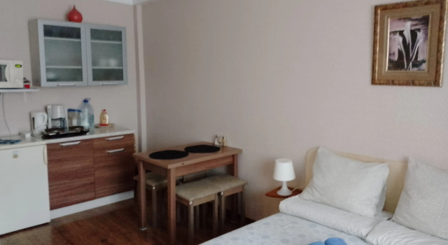 Студия с видом на озеро Velikiy Hotel