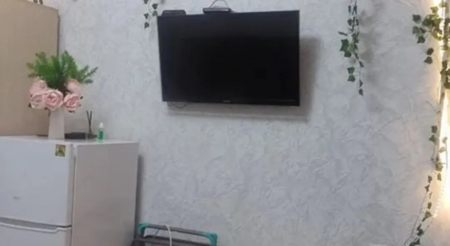 Квартира Уютная Студия напротив Нарзанной Галереи, Забронировать Апартаменты/квартира Кисловодск Кавминводы, рядом с Курортный бульвар