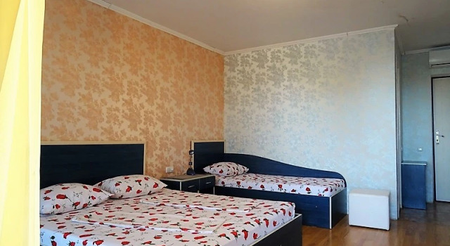 Номер Comfort с балконом Гостевой дом Гала Парадиз