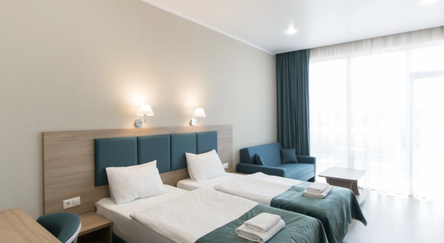Superior Twin room with balcony and with view Apsilia