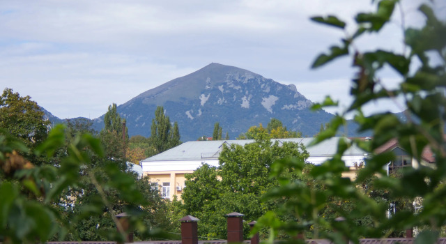 Квартира Каштановая Аллея
