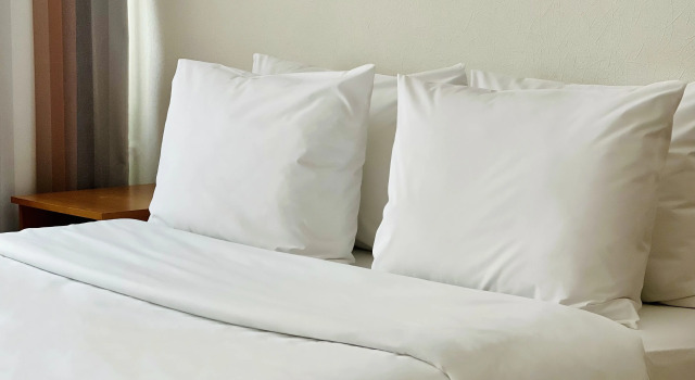 Standard Double room Apri Polet Hotel