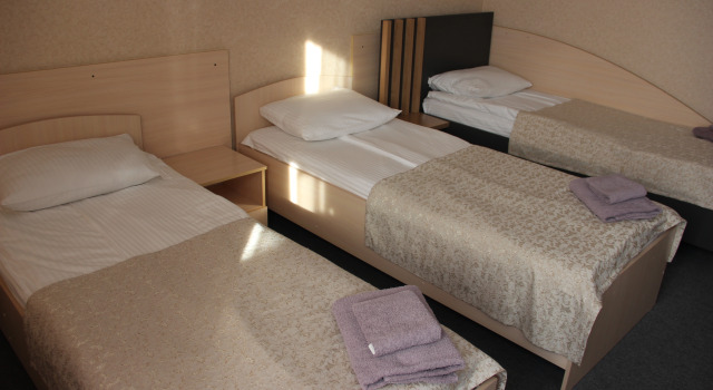 Трёхместный номер Standard Демидов
