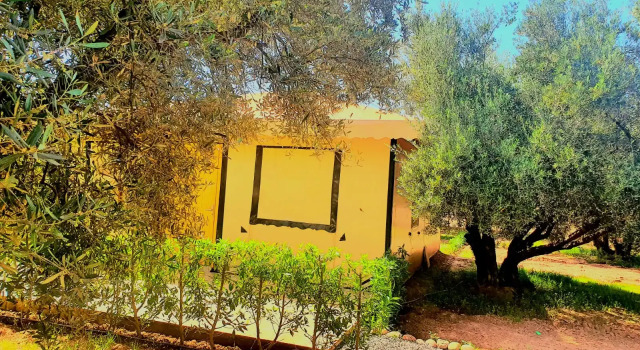 Бунгало Superior Ferme Sidi Safou & Spa