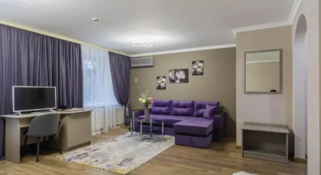Двухместный номер (1 категория) Делюкс Парк Отель Фили