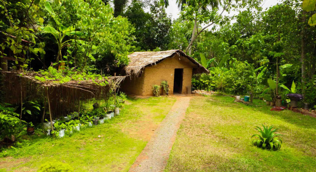 Гостевой Дом Yoho Pahalagawattha Homestay