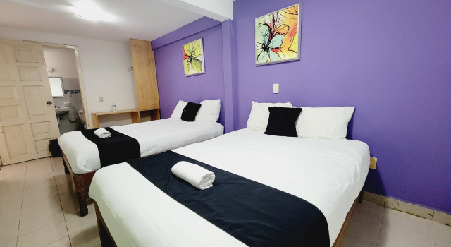 Четырёхместный номер Standard Hotel Dulce Luna
