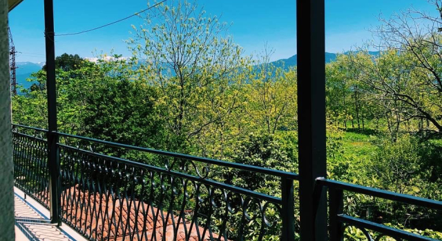 Brave&Young s Pitaniem Guest house, Book Guesthouse Kobuleti 
