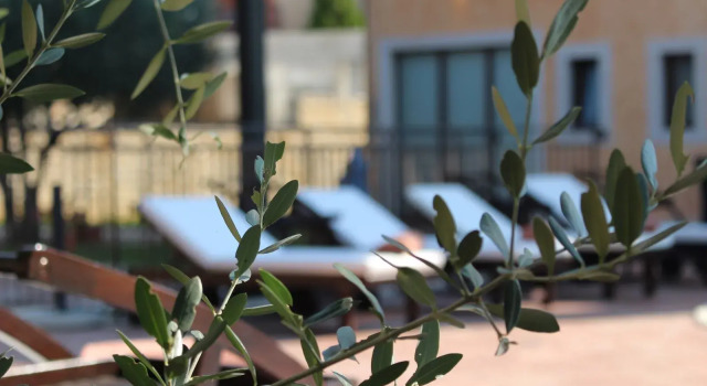 Casa Alice, Book Bed and Breakfast Rovinj Rovinj Riviera