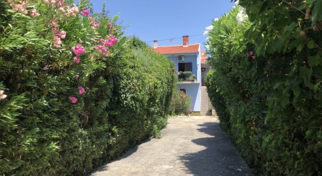 Апартаменты in Villa Big garden Private pool Sea close, Забронировать Апартаменты/квартира Отели Задар с бассейном, рядом с Пляж Мали Милни, Бассейн