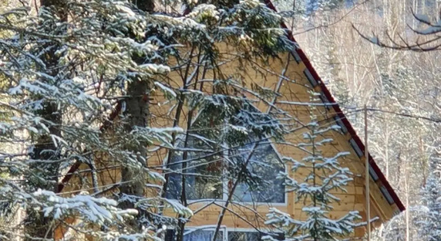 Шале c 1 комнатой с видом на парк База отдыха Бия Заповедная