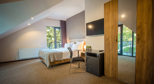 Двухместный номер Standard с балконом и с красивым видом из окна AuRoom Bakuriani Resort