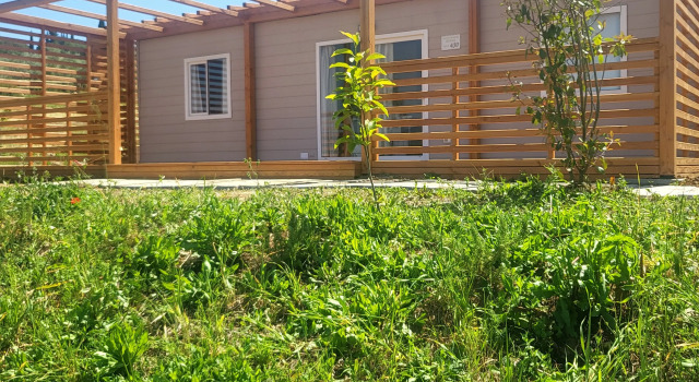 Glamping Viovillas Country House Arezzo, Book Campingplads Camping og glamping i Arezzo, Campingplads