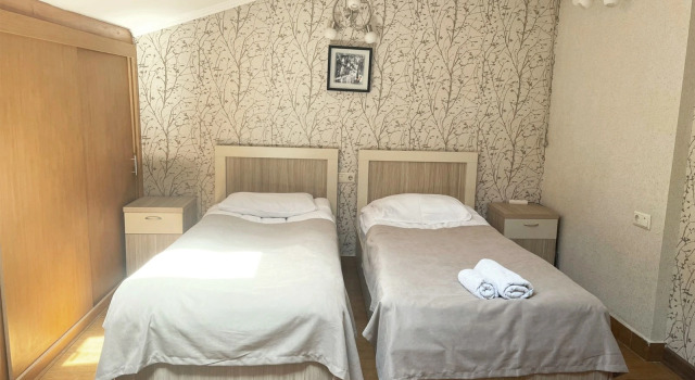 Двухместный номер Economy Hotel Tomas House