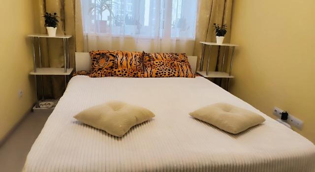 Solnechnaya Kvartira Na Cuzdalskoy Apartments, Book Apartment Kaliningrad Kaliningrad Region