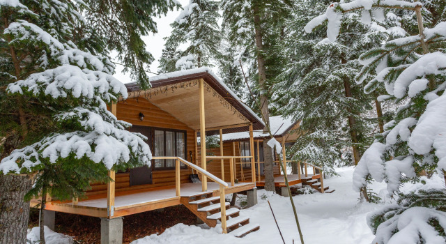 Двухместное шале с красивым видом из окна База отдыха Forest house resort