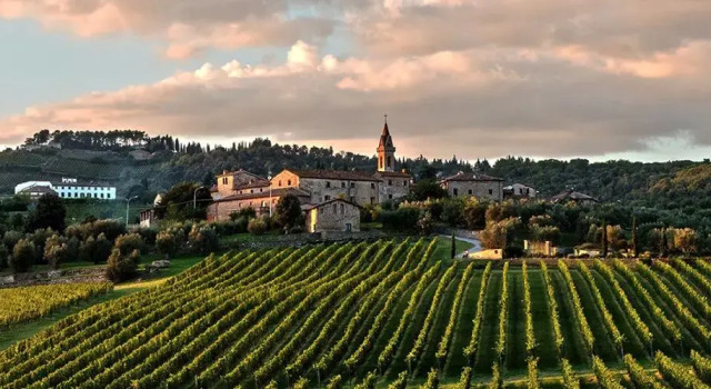 Rusu Guest House, Book Pension Castelnuovo Berardenga Chianti