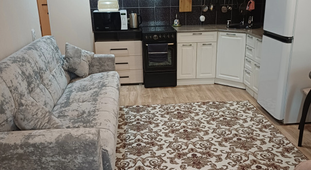 Uyutnaya V Tsentre Flat, Réserver Appartement Aihal 
