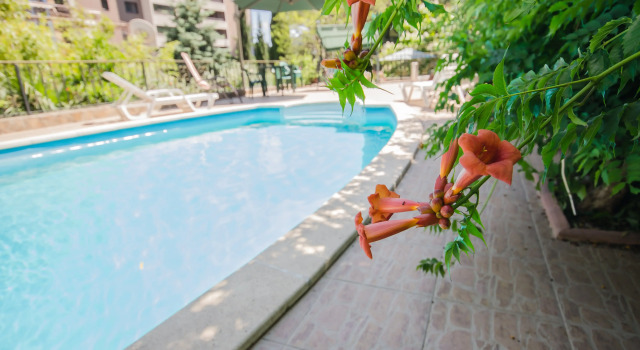 Villa Bagration Guest house, Reservar Casa de hóspedes Hotéis em Ialta com pequeno-almoço, Café da manhã