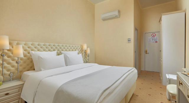Camera doppia Standard con vista Pushkin Hotel