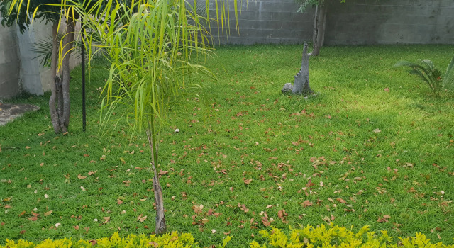 Maun Executive Inn Guest House, Rezerwuj Pensjonat Maun Ngamiland East