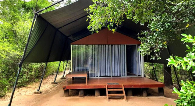 Отель Camping Yala Hotel Ravana luxury Safari Camp Tents